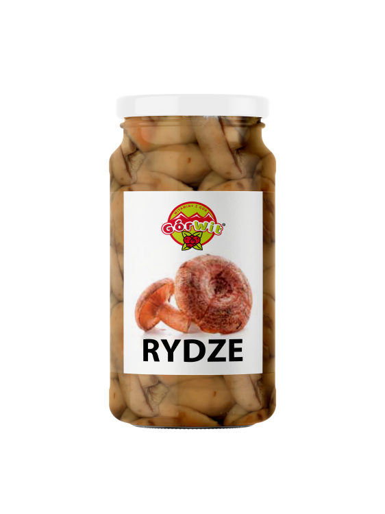 rydze solone.png
