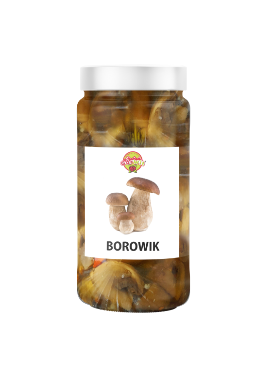 borowik.png