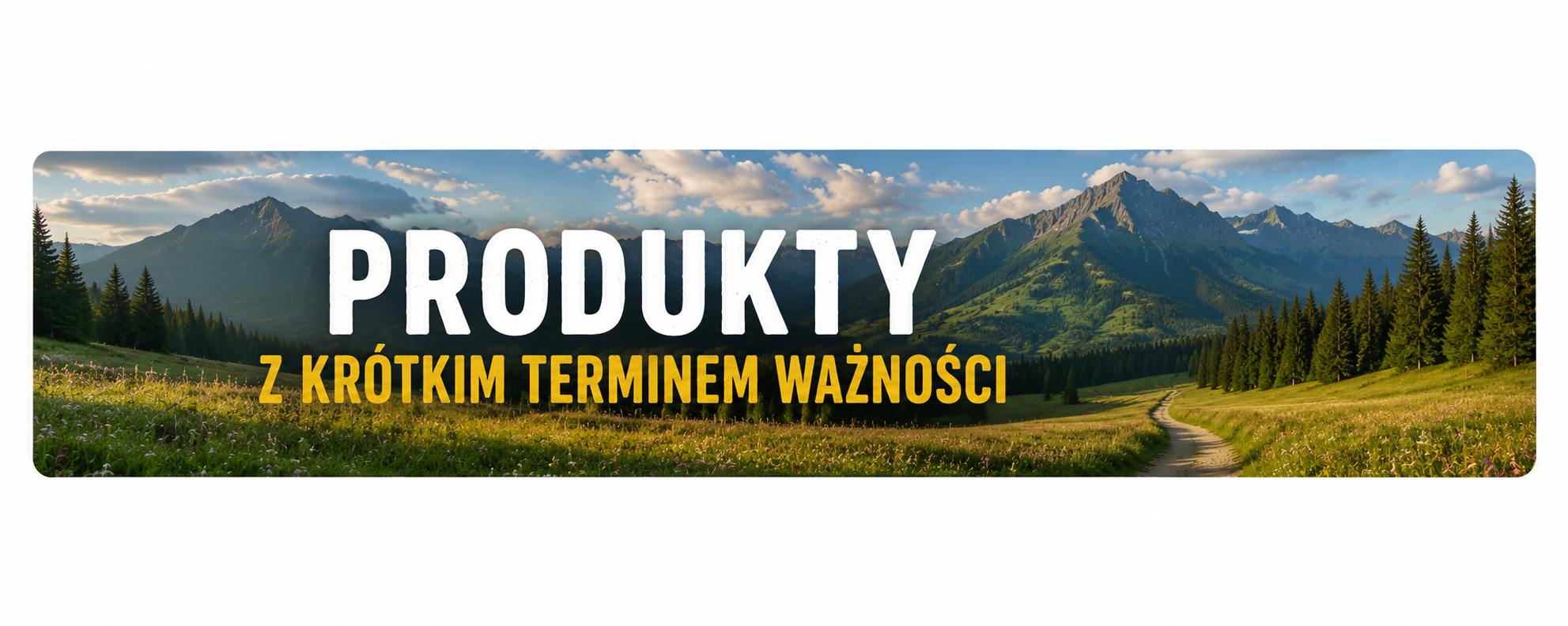 PROMOCJE